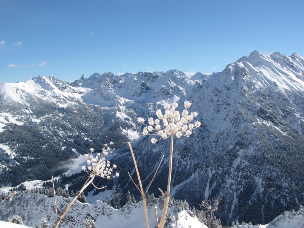 Oberstdorfer Bergwelt 213 Apartment Luaran gambar